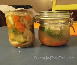 how to implement fermented food to the diet